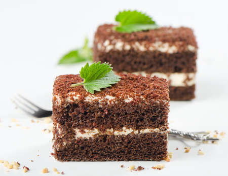 Two chocolate cakes on a white plateの写真素材