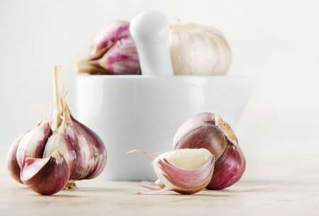 Garlicの写真素材