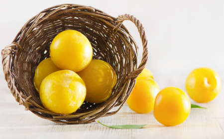 Group of plums in basketの写真素材