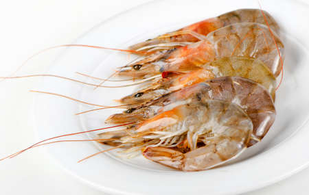 Raw tiger shrimps on white plateの写真素材