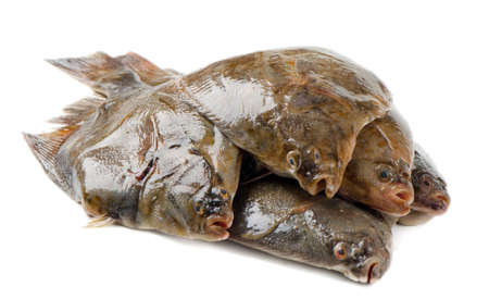 Fresh flounders isolated on white backgroundの写真素材