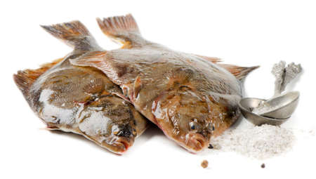 Flounders isolated on white backgroundの写真素材