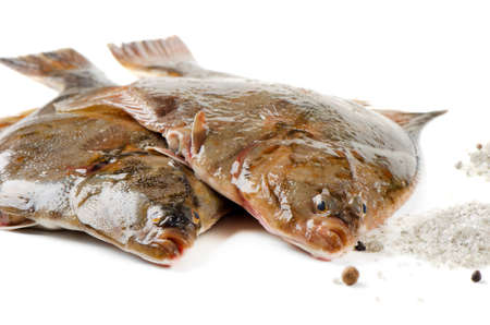 Two flounders isolated on white backgroundの写真素材