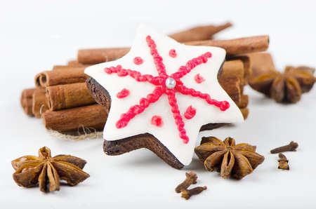 Homemade christmas cookies and spicesの写真素材
