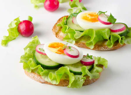 Fresh sandwiches with radish and eggの写真素材