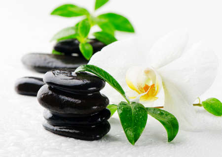 Black stones and flowerの写真素材
