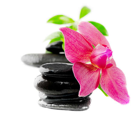 Black stones and flower isolated on whiteの写真素材