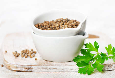 coriander seeds and leavesの写真素材