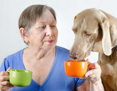 Senior woman with dog drinking teaの写真素材
