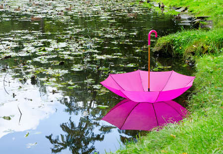 pink umbrella in a parkの写真素材