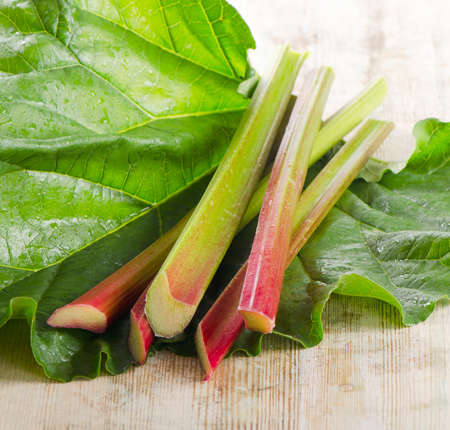 Rhubarb on a wooden table Selective focusの写真素材