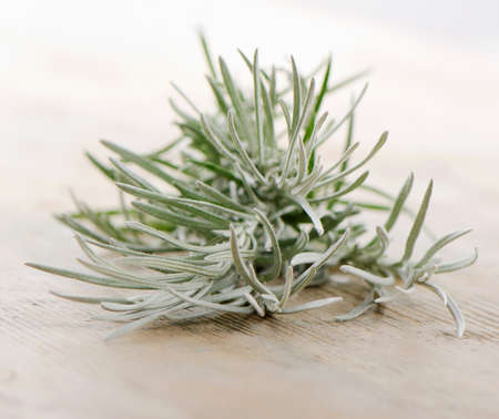Fresh rosemary on a wooden background.Selective focusの写真素材