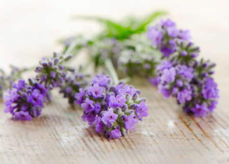 Fresh lavender on a wooden background.Selective focusの写真素材