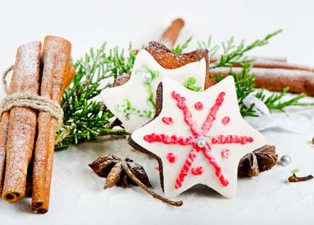 Homemade christmas cookies and spicesの写真素材