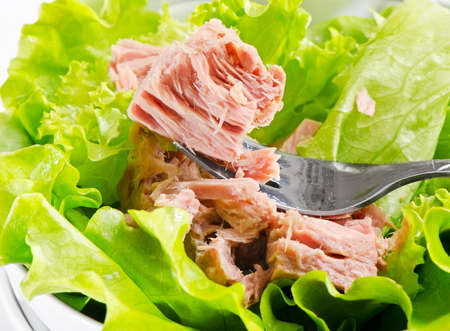 Tuna with lettuceの写真素材