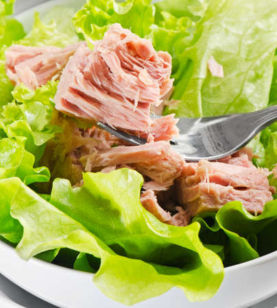 Tuna with lettuce  Selective focusの写真素材