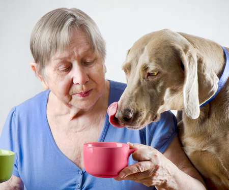Senior woman with dog drinking teaの写真素材