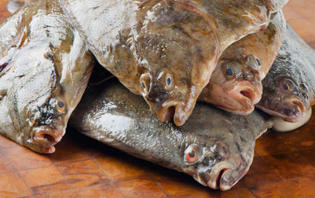 Fresh flounders  Selective focusの写真素材