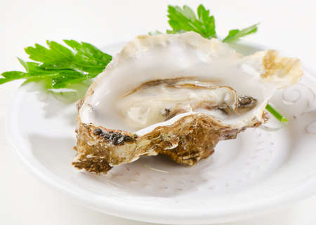 Fresh opened oysters on a white plate  Selective focusの写真素材