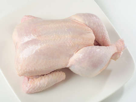 Whole raw chicken on a  white plateの写真素材