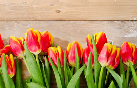 bouquet of the fresh tulips on a wooden tableの写真素材