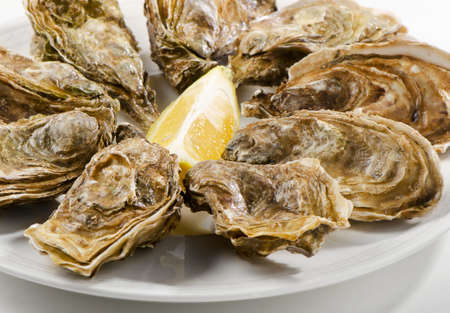 Fresh oysters on a white plate. Selective focusの写真素材