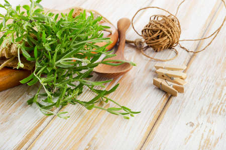 fresh rosemary on a wooden table . Selective focusの写真素材