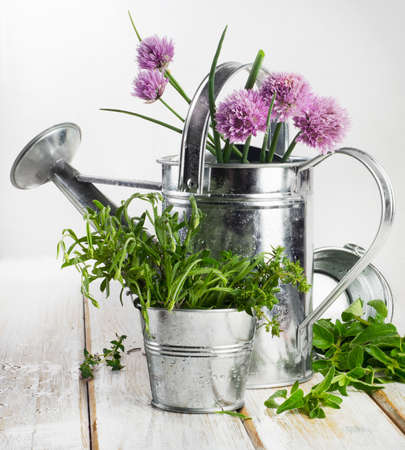 Various fresh herbs on a wooden table .の写真素材