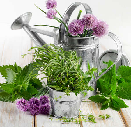 Various fresh herbs on a wooden table . Selective focusの写真素材