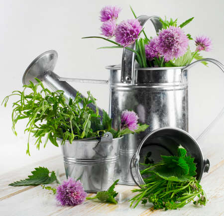 Various fresh herbs on a wooden table . Selective focusの写真素材