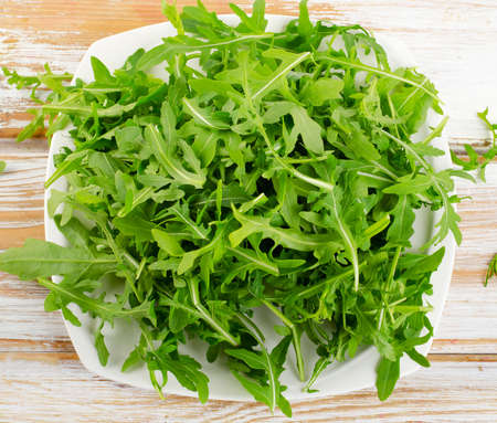 Fresh arugula salad in a white plateの写真素材