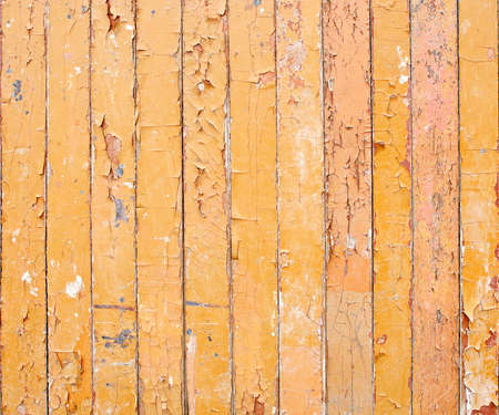 Wood green plank texture  backgroundの写真素材