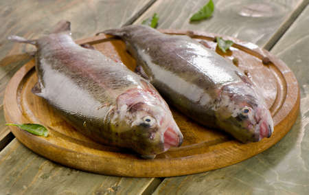 Rainbow trouts on a  wooden table. Selective focusの写真素材