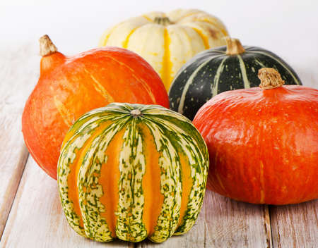 Colorful pumpkins on wooden table. Selective focusの写真素材