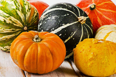 Colorful pumpkins on  wooden background. Selective focusの写真素材