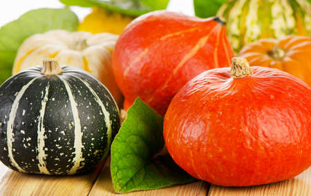 Colorful pumpkins  with fall leaves . Selective focusの写真素材