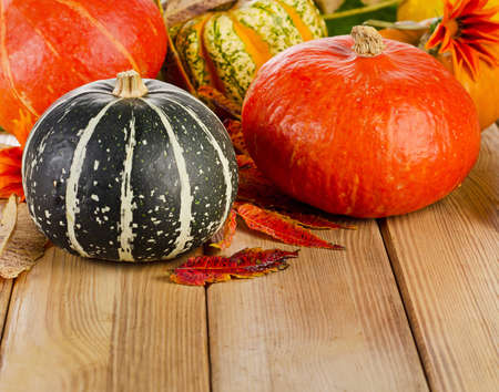 Pumpkins  with fall leaves and  flowers. Selective focusの写真素材