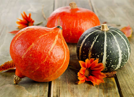 Pumpkins on  wooden table. Selective focusの写真素材