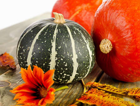 Pumpkins  with  leaves and  flowers. Selective focusの写真素材