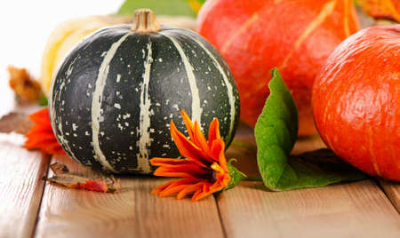 Colorful pumpkins  with fall leaves and  flowers. Selective focusの写真素材