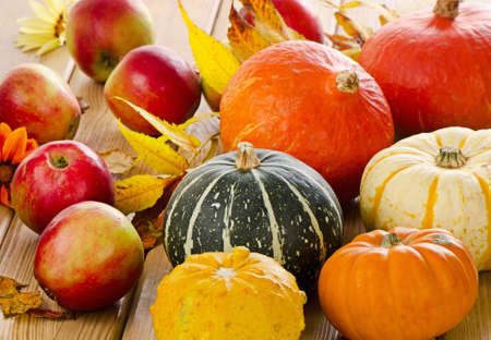 Pumpkins with apples and  fall leaves. Selective focusの写真素材