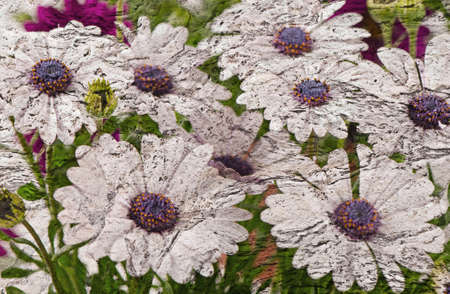 White chamomiles . Old grunge backgroundの写真素材