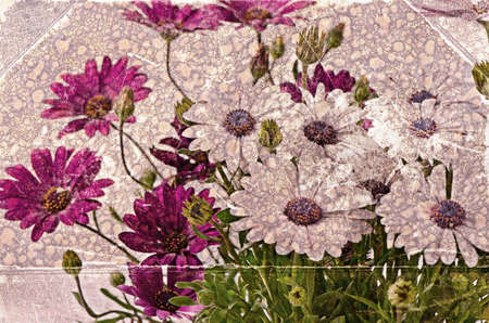 Beautiful white spring flowers. Old grunge backgroundの写真素材