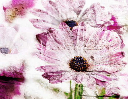 Beautiful pink spring flowers. Old grunge backgroundの写真素材