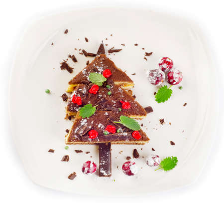 Christmas Tree made of  chocolate cake isolated on white  . Selective focusの写真素材