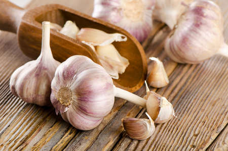 garlic whole and cloves on  wooden background. selective focusの写真素材