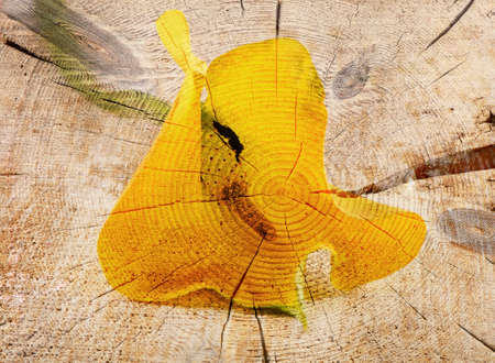 Yellow Calla lilies .Old  Vintage  backgroundの写真素材
