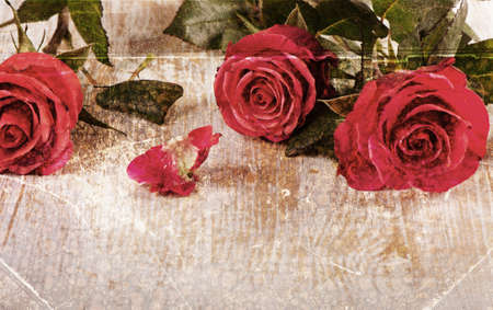 Roses . Old vintage backgroundの写真素材