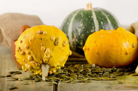 Yellow and green Pumpkins and seeds  on  wooden table. Selective focusの写真素材