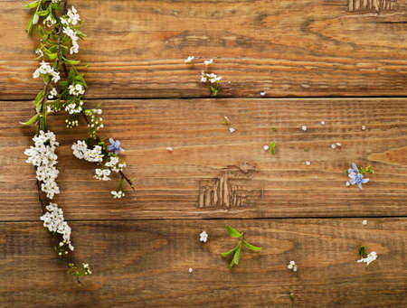 spring flowers on a wooden background.